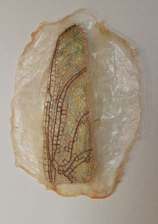 Ala Embroidery on pig intestine 8" x 12" 2011 Image credit - Brynna Stephenson