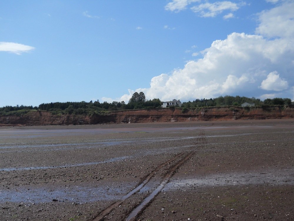 On the Bay of Fundy at low tide