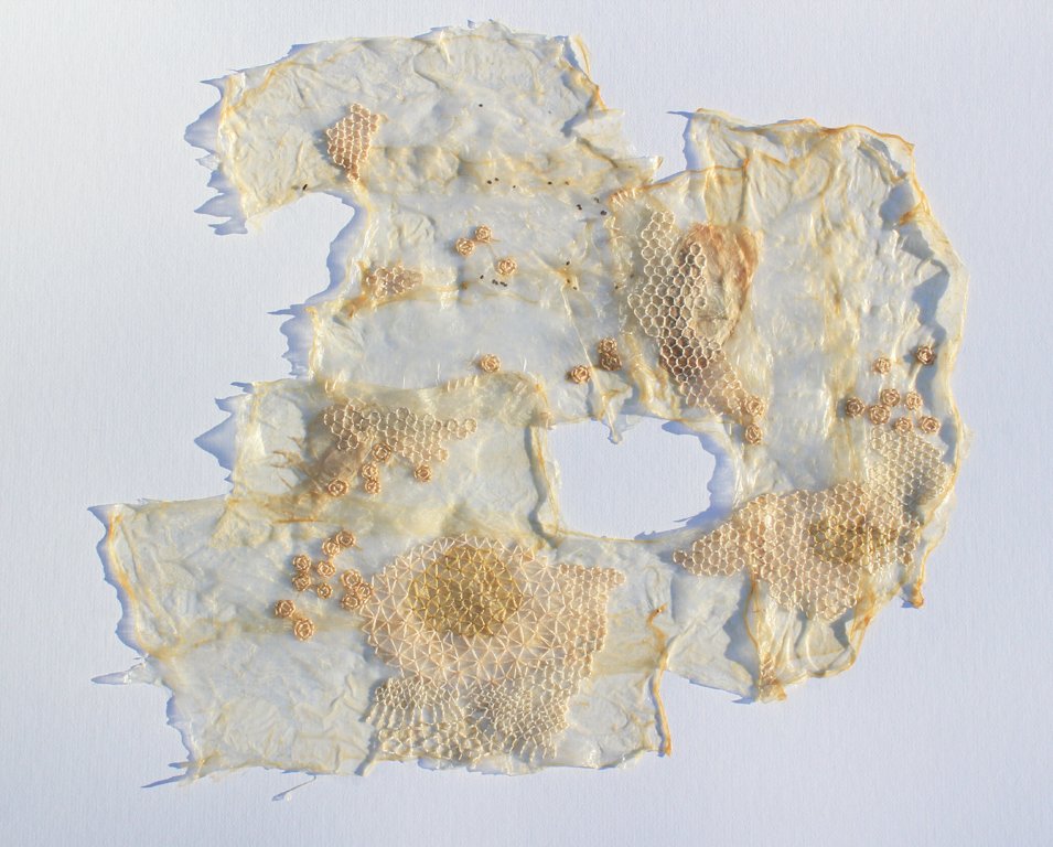 Particles to Polygons Embroidery on hog gut 14" x 15" 2013 Photo credit - Lasha Mowchun