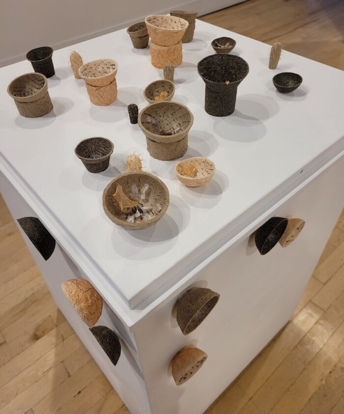 Heather Komus
Thorn Mouth
2022
Handmade paper from Canadian thistle, common burdock and corn husks with European buckthorn, and other materials
Variable dimensions